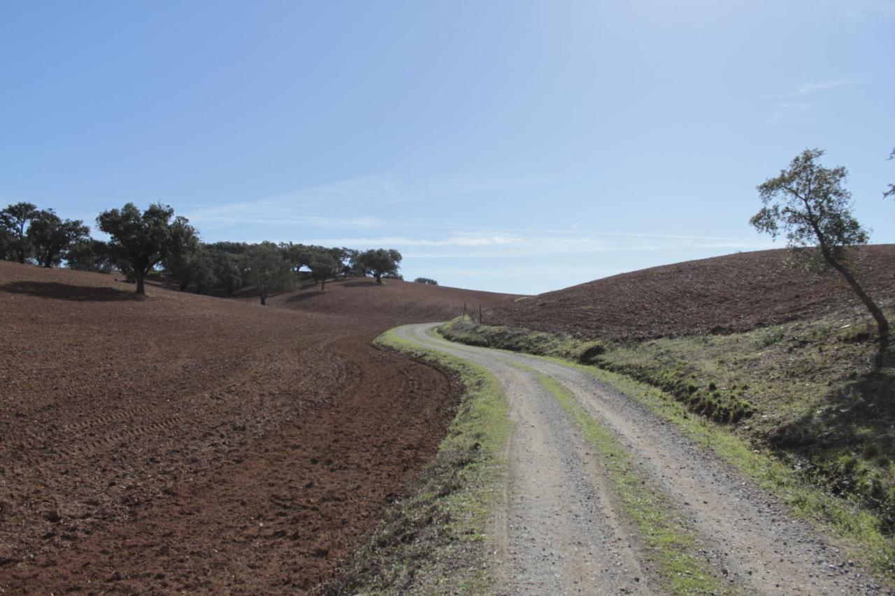 Cercal do Alentejo Monte Bandarro Novo, Country House 빌라 외부 사진